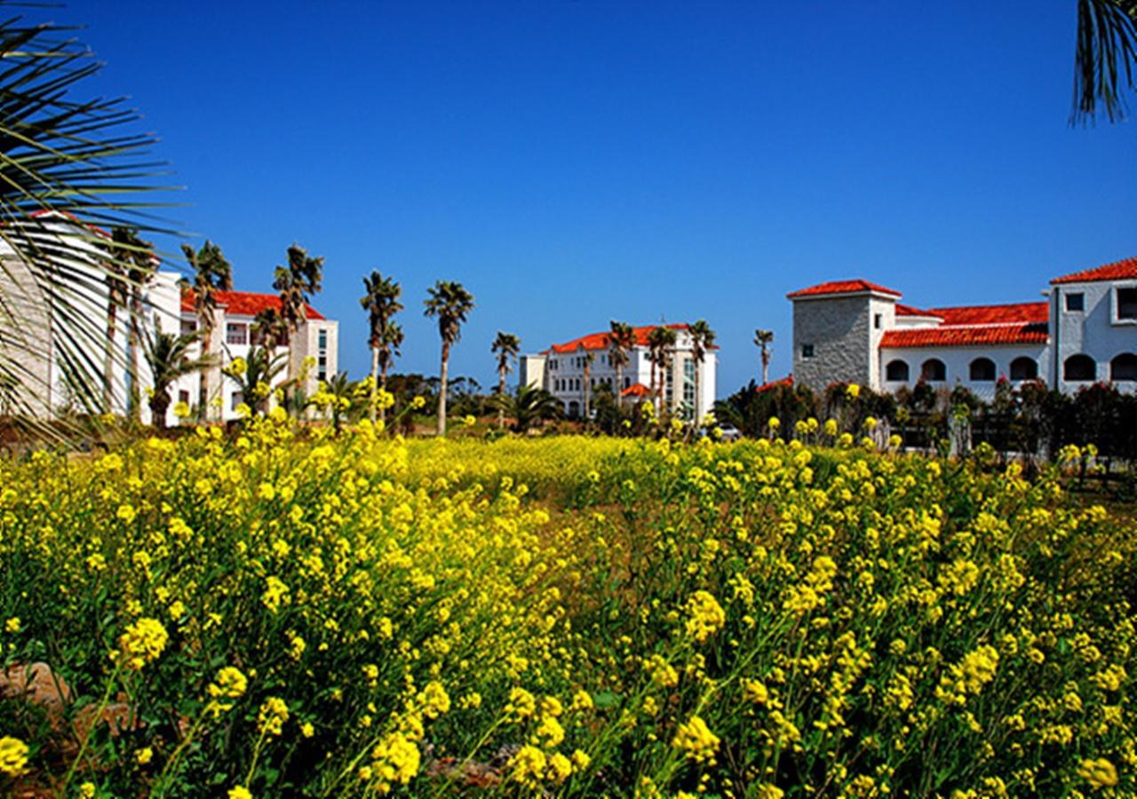 Lasania Resort Seogwipo-stad Buitenkant foto